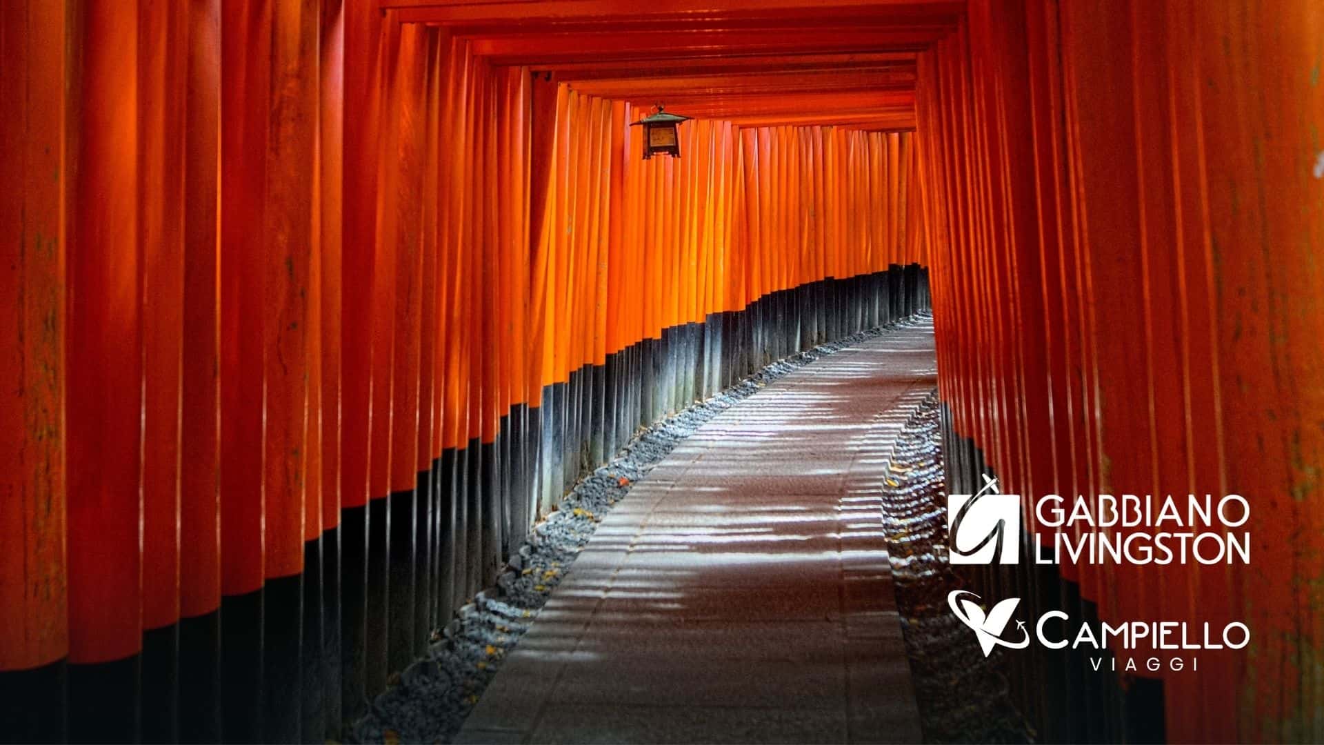 Giappone il paese delle contraddizioni - campiello viaggi 3