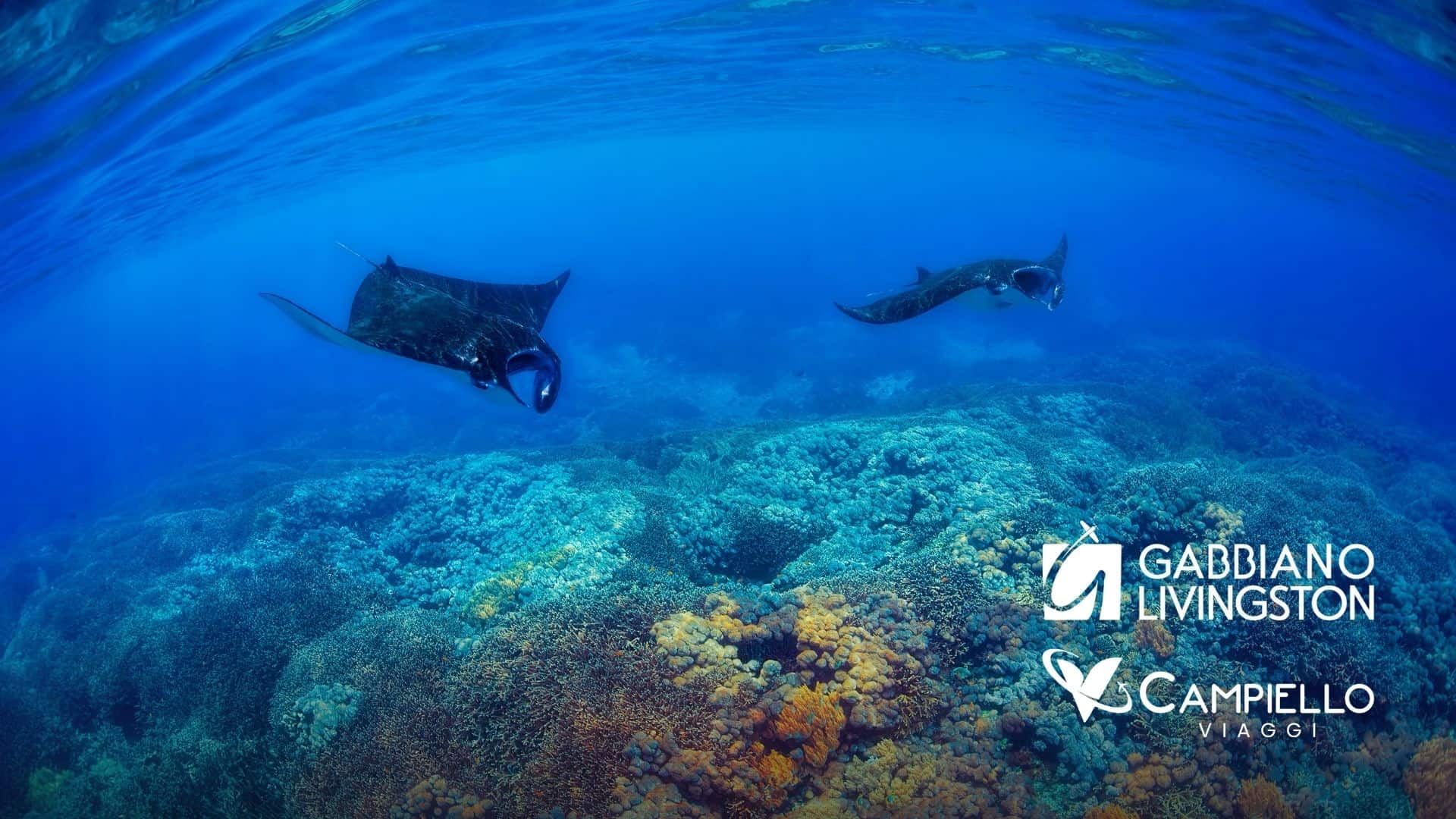 INDONESIA IN VELIERO - CAMPIELLO VIAGGI 3