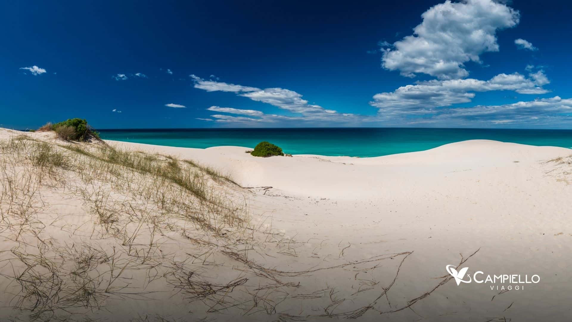 sudafrica viaggio 2026 de hoop - campiello viaggi