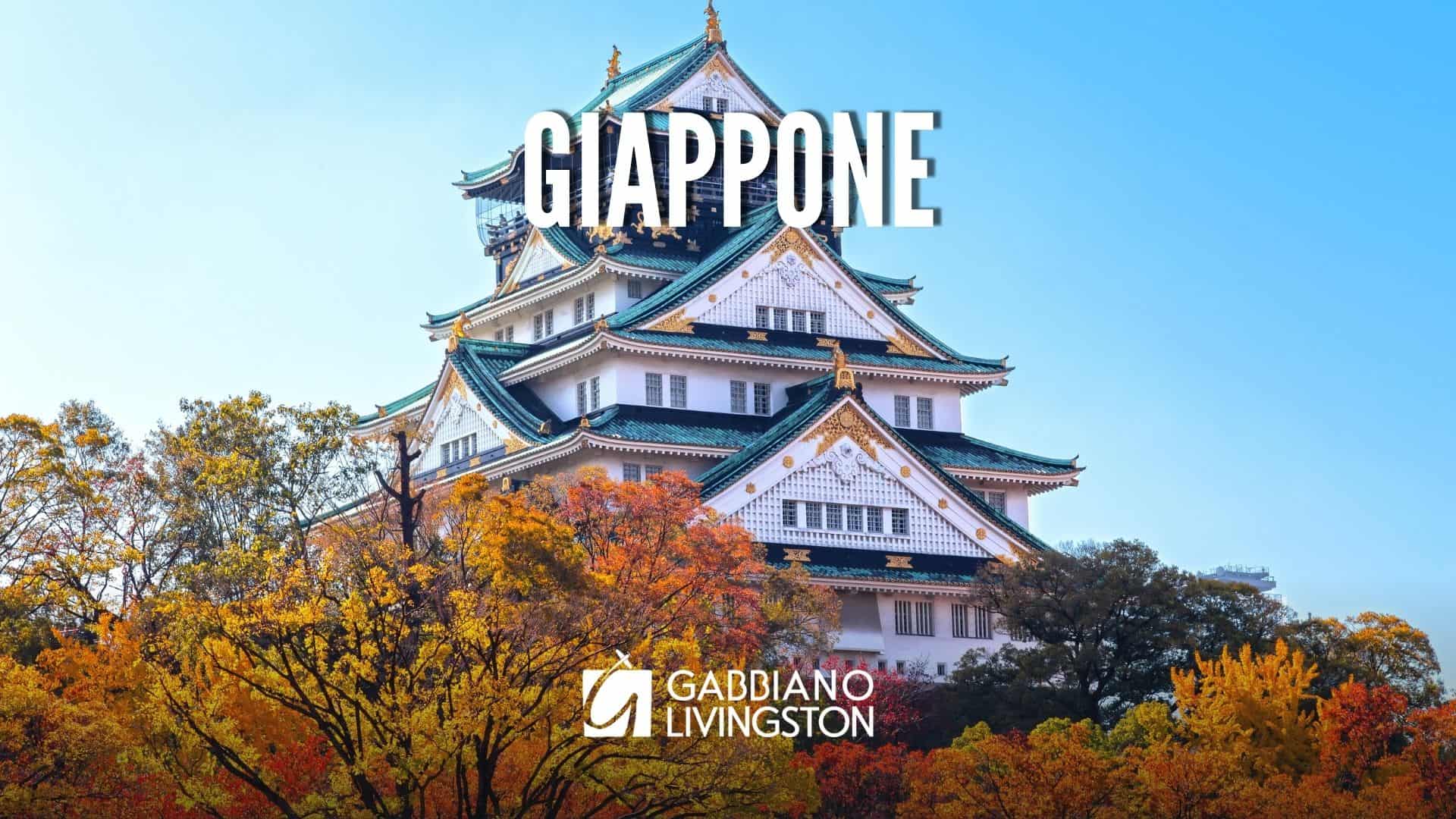 viaggio giappon novembre gabbiano livingston - campiello viaggi