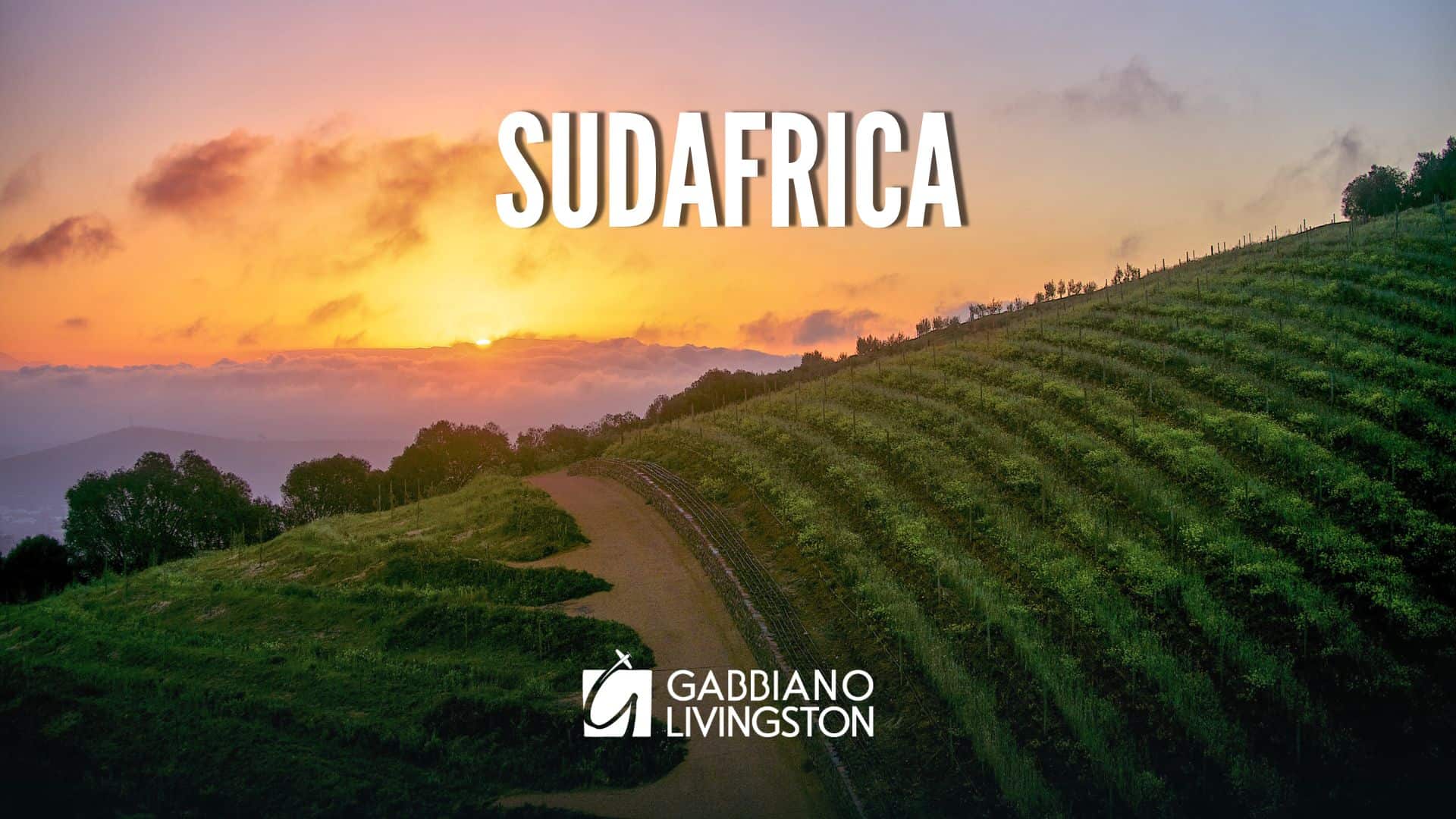 longweekend capetown e winelands - campiello viaggi